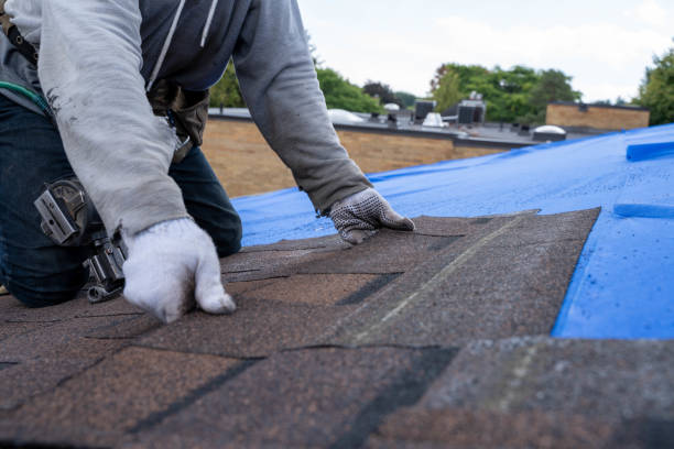 Best Roof Gutter Cleaning  in St Lawrence, PA