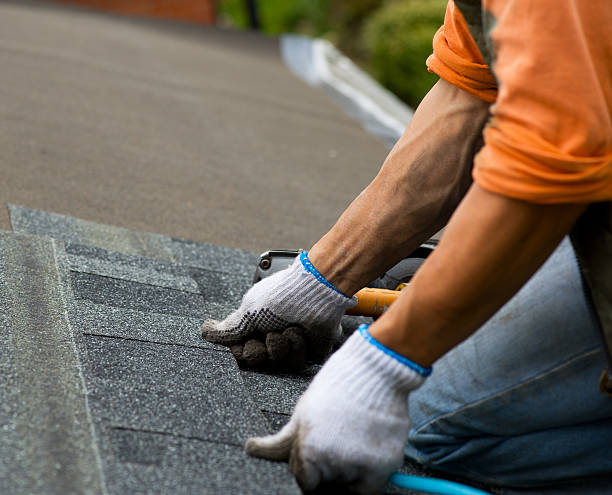 Best Flat Roof Repair Services  in St Lawrence, PA